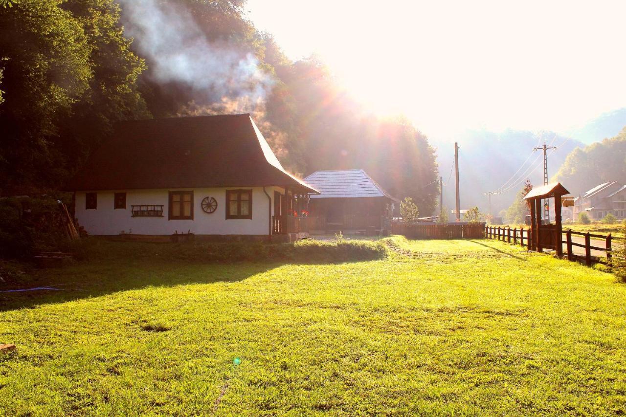 Casuta Din Valea Regilor Villa Gradistea de Munte Exterior photo