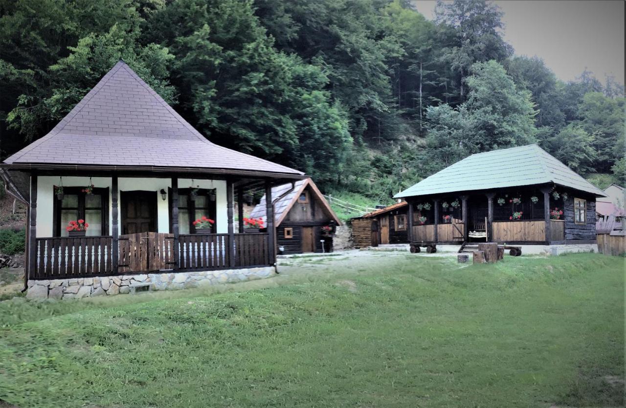Casuta Din Valea Regilor Villa Gradistea de Munte Exterior photo