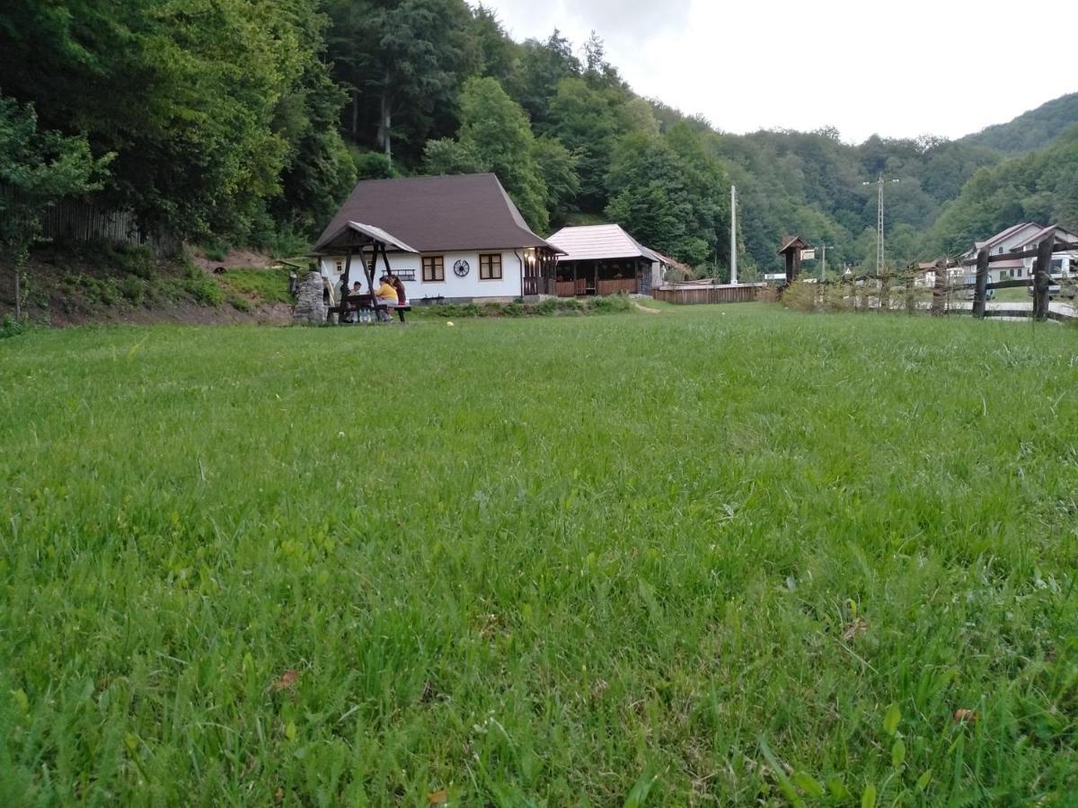 Casuta Din Valea Regilor Villa Gradistea de Munte Exterior photo