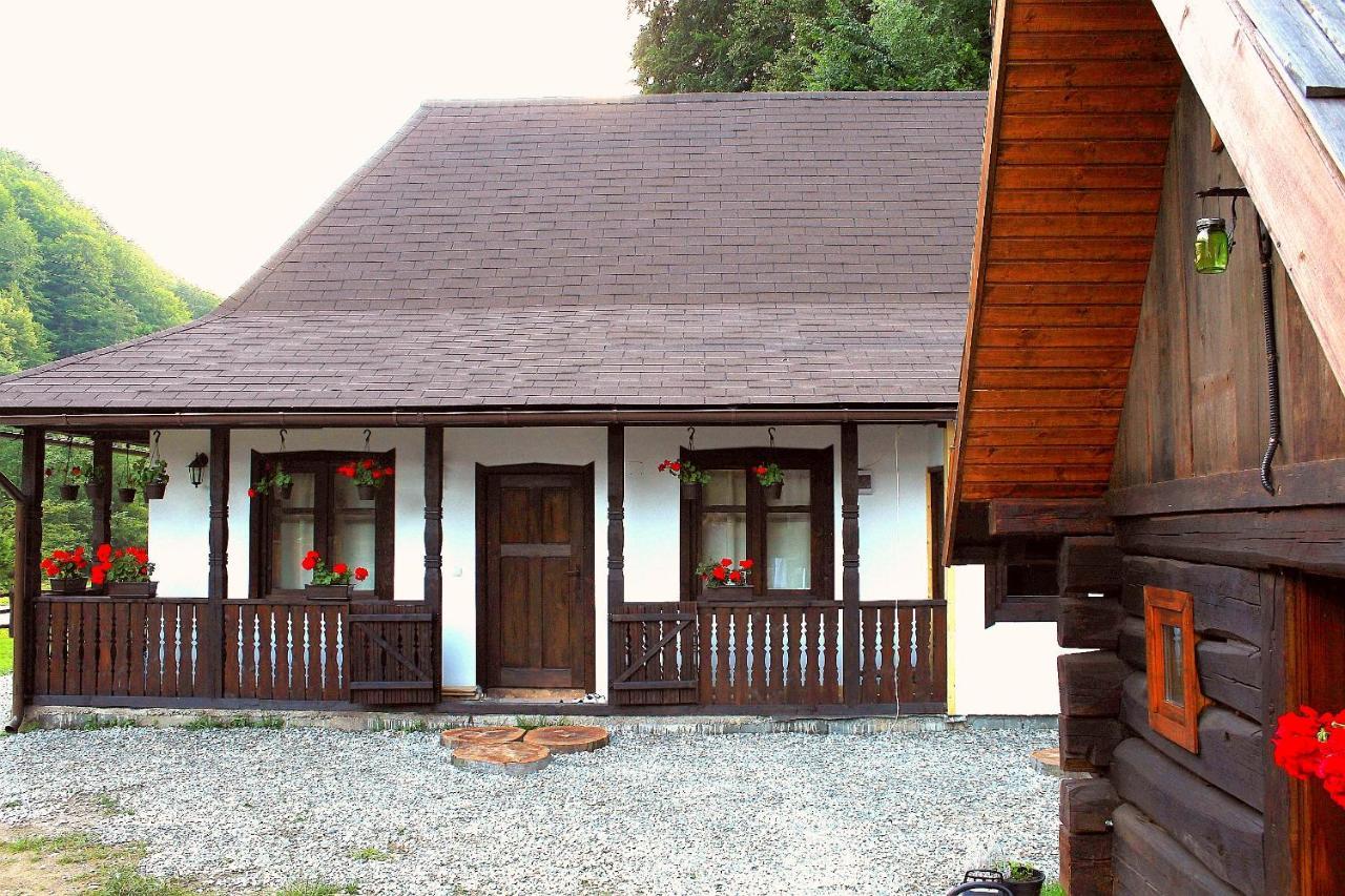 Casuta Din Valea Regilor Villa Gradistea de Munte Exterior photo