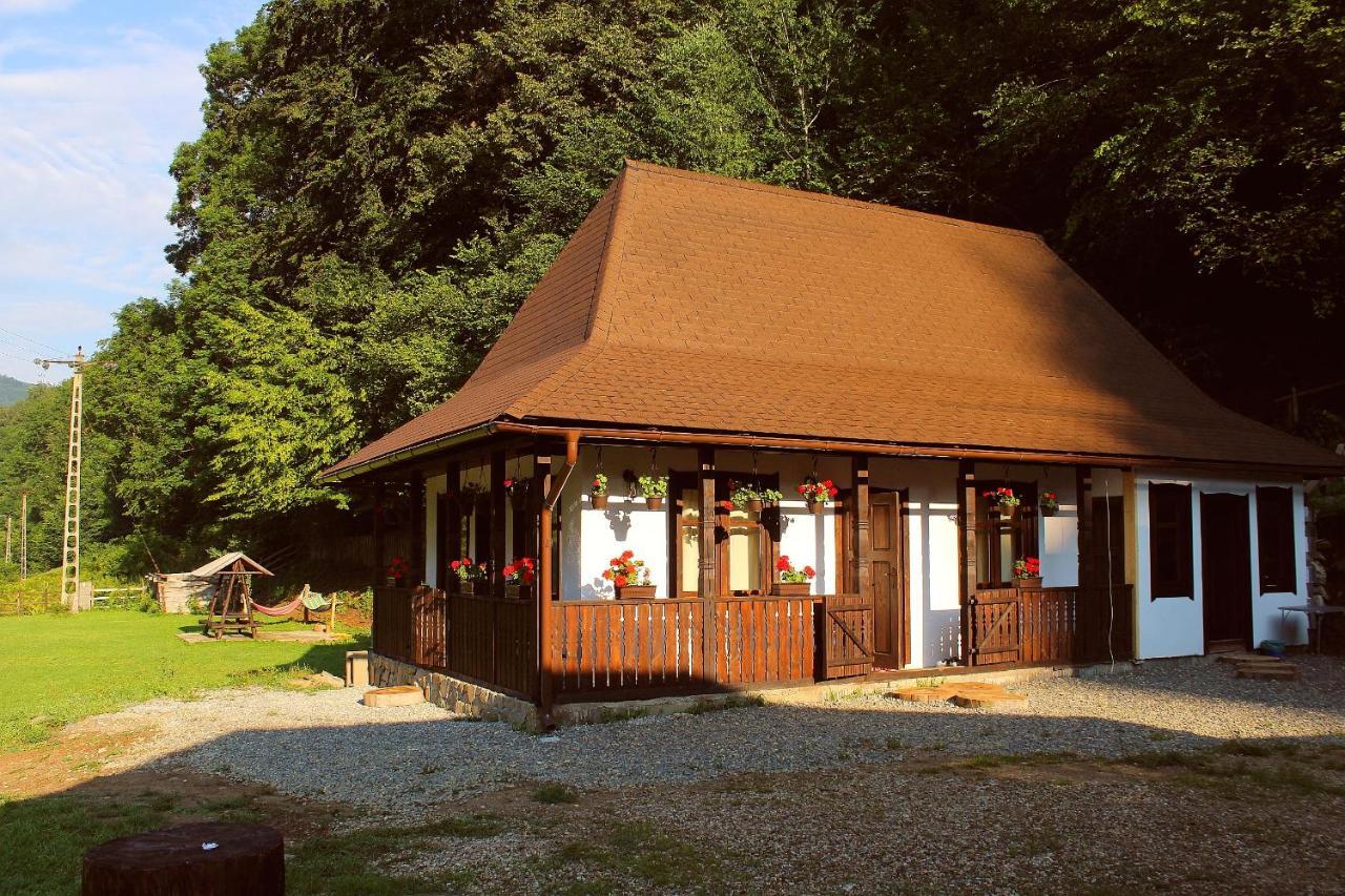 Casuta Din Valea Regilor Villa Gradistea de Munte Exterior photo