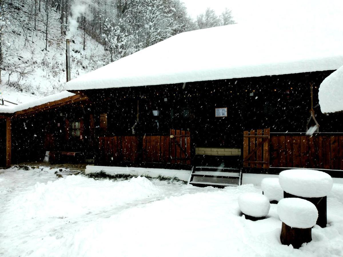 Casuta Din Valea Regilor Villa Gradistea de Munte Exterior photo