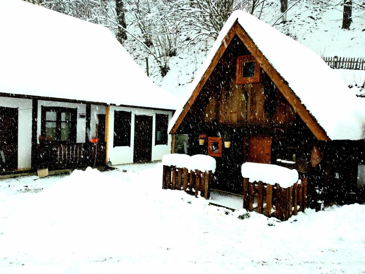 Casuta Din Valea Regilor Villa Gradistea de Munte Exterior photo