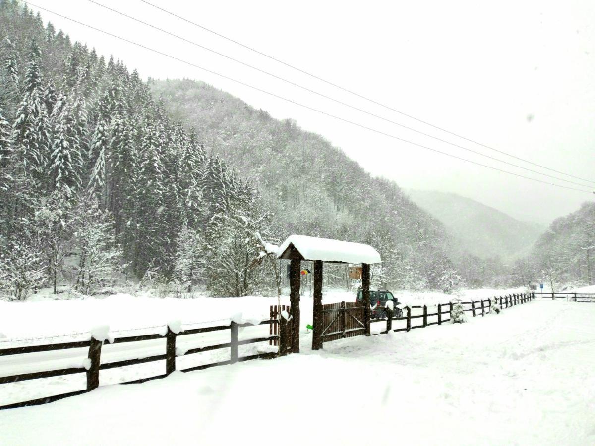 Casuta Din Valea Regilor Villa Gradistea de Munte Exterior photo