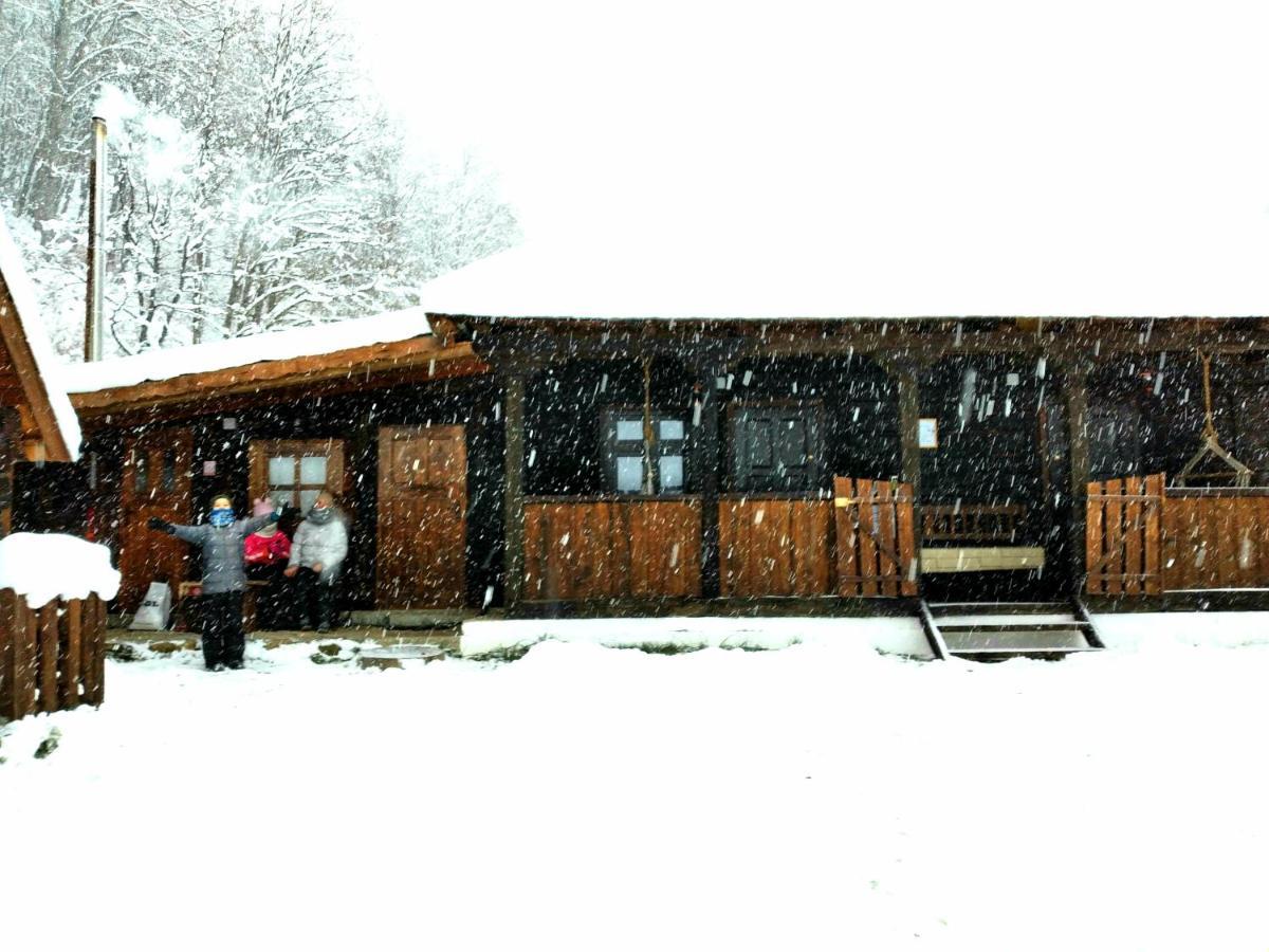 Casuta Din Valea Regilor Villa Gradistea de Munte Exterior photo